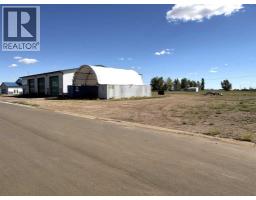 4708 43 Avenue, Forestburg, AB T0B1N0 Photo 9