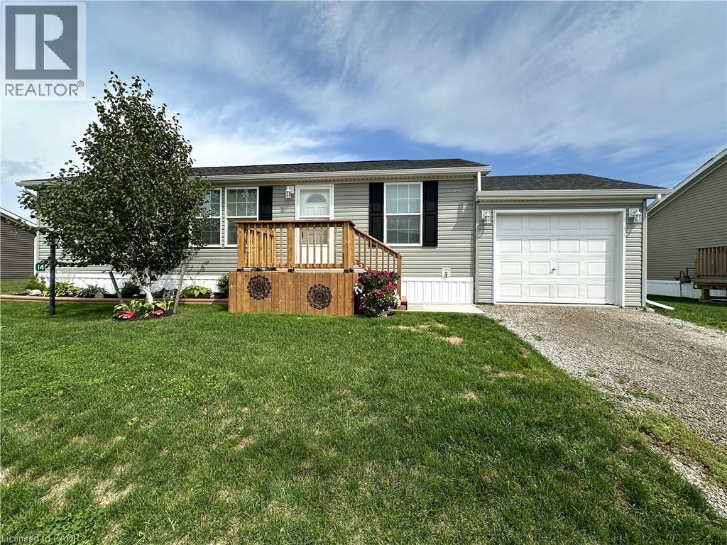 14 COPPER BEECH