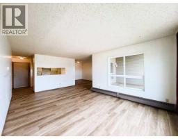 306e, 201 12 Avenue Sw, Slave Lake, AB T0G2A4 Photo 10