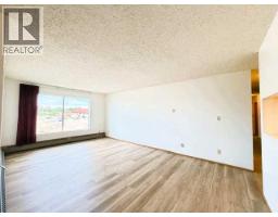 2pc Bathroom - 306e, 201 12 Avenue Sw, Slave Lake, AB T0G2A4 Photo 8
