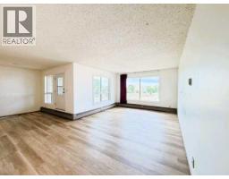 306e, 201 12 Avenue Sw, Slave Lake, AB T0G2A4 Photo 11