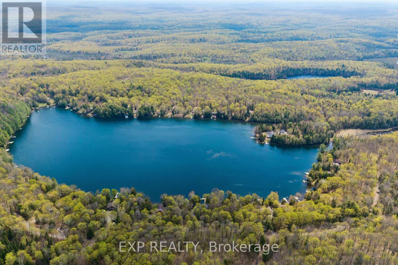 1216 LAKE LORRAINE (TORY LAKE) LANE - Image 29