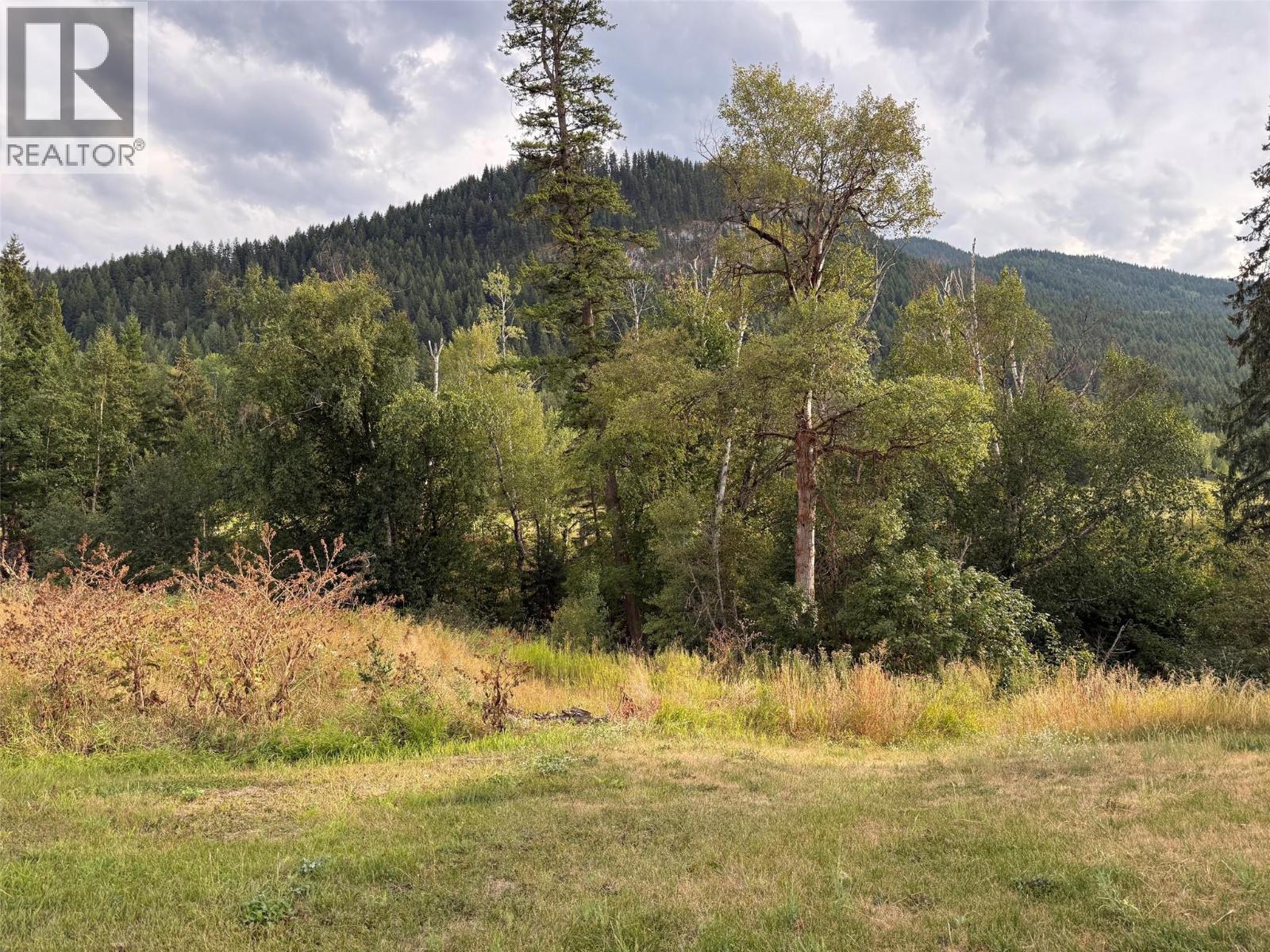 3320 Birch Island Lost Creek Road - Image 30