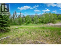 522 North Fork Road, Cherryville, BC V0E2G0 Photo 49