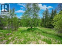 522 North Fork Road, Cherryville, BC V0E2G0 Photo 67