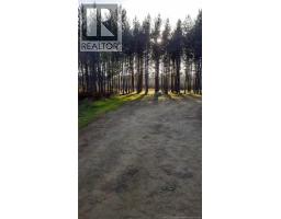 1.84 Acres Route 135, Rang Saint Georges, NB E8R2C1 Photo 10