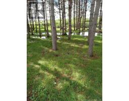 1.84 Acres Route 135, Rang Saint Georges, NB E8R2C1 Photo 11