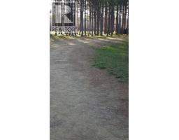 1.84 Acres Route 135, Rang Saint Georges, NB E8R2C1 Photo 8