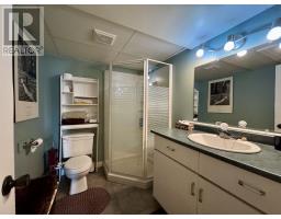 1184 Highway 206, West Arichat, NS B0E3J0 Photo 19