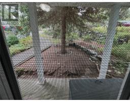 40 Cove Road thumbnail 38