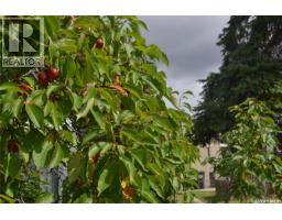 201 P Avenue N, Saskatoon, SK S7L2V6 Photo 31