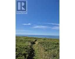 514 Baccaro Road, West Baccaro, NS B0W1E0 Photo 37
