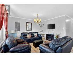 397 Trinity South Highway, Whiteway, NL A0B3L0 Photo 39