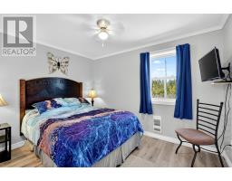 397 Trinity South Highway, Whiteway, NL A0B3L0 Photo 42