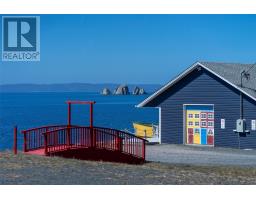 397 Trinity South Highway, Whiteway, NL A0B3L0 Photo 8