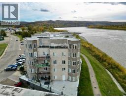 202, 9810 94 Street, Peace River, AB T8S0A1 Photo 6
