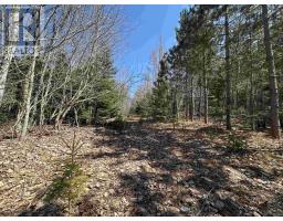 Settlement Road, Lyndale, PE C0A1A0 Photo 8
