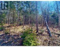 Settlement Road, Lyndale, PE C0A1A0 Photo 12