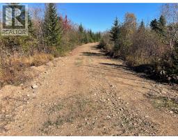Lot Belledune Road, Belledune, NB E8G1Z5 Photo 11
