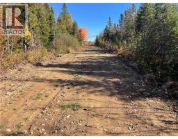 Lot Belledune Road, Belledune, NB E8G1Z5 Photo 12
