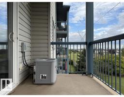 #316 16303 95 Street Nw, Edmonton, AB T5Z3V1 Photo 31