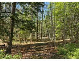 15 Bayfield Mews Lane, Bluewater, ON N0M1G0 Photo 46