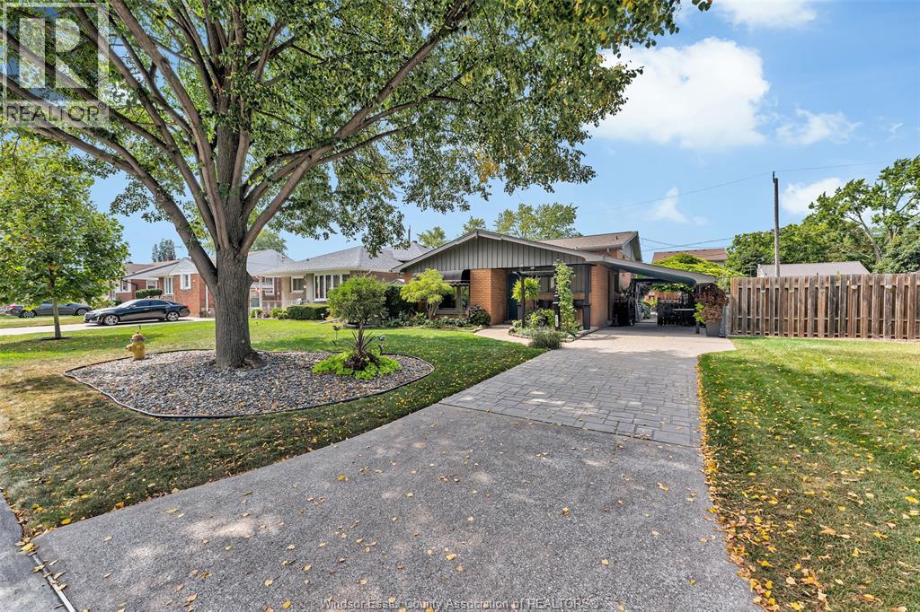 3742 MYRTLE AVENUE - 6