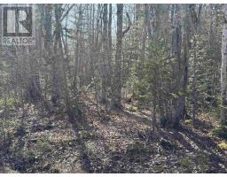 Bennie Muckle - 30 Acres Road, Bramber, NS B0N2A0 Photo 8