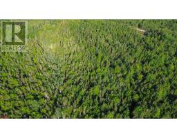 Bennie Muckle - 30 Acres Road, Bramber, NS B0N2A0 Photo 22