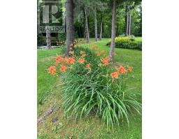 506 11th Concession Road E, Hamilton, ON L8B1J1 Photo 31