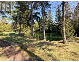 506 11th Concession Road E, Hamilton, ON L8B1J1 Photo 44