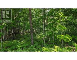 Lot 1 Tally-ho Winter Park Road, Lake Of Bays, ON P1H2E8 Photo 6