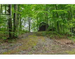 2120 Charlie Green Road, Frontenac, ON K0H2L0 Photo 22
