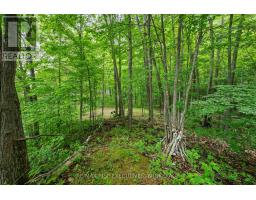 2120 Charlie Green Road, Frontenac, ON K0H2L0 Photo 29