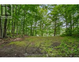 2120 Charlie Green Road, Frontenac, ON K0H2L0 Photo 30