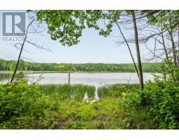 2120 Charlie Green Road, Frontenac, ON K0H2L0 Photo 32