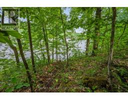 2120 Charlie Green Road, Frontenac, ON K0H2L0 Photo 34