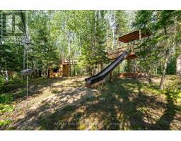 40 Tvo Road, Sioux Narrows Nestor Falls, ON P0X1N0 Photo 49
