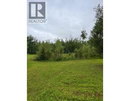 6544 Township Road 692, Grovedale, AB T0H1X0 Photo 30