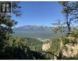 1398 Pine Drive, Golden, BC V0A1H1 Photo 7