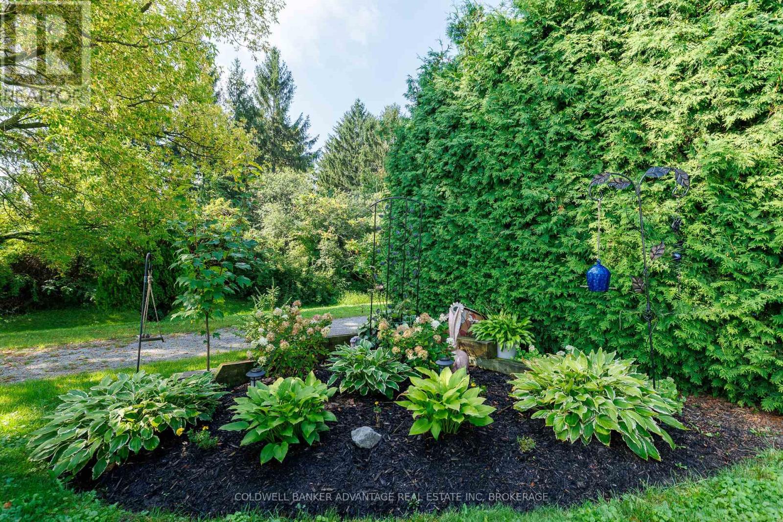 11 WOODLAND DRIVE - Image 30