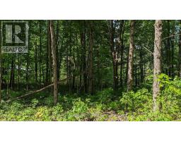 Lot 2 Tally-ho Winter Park Road, Lake Of Bays, ON P1H2E5 Photo 7
