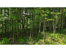 Lot 2 Tally-ho Winter Park Road, Lake Of Bays, ON P1H2E5 Photo 8