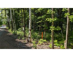 Lot 2 Tally-ho Winter Park Road, Lake Of Bays, ON P1H2E5 Photo 9