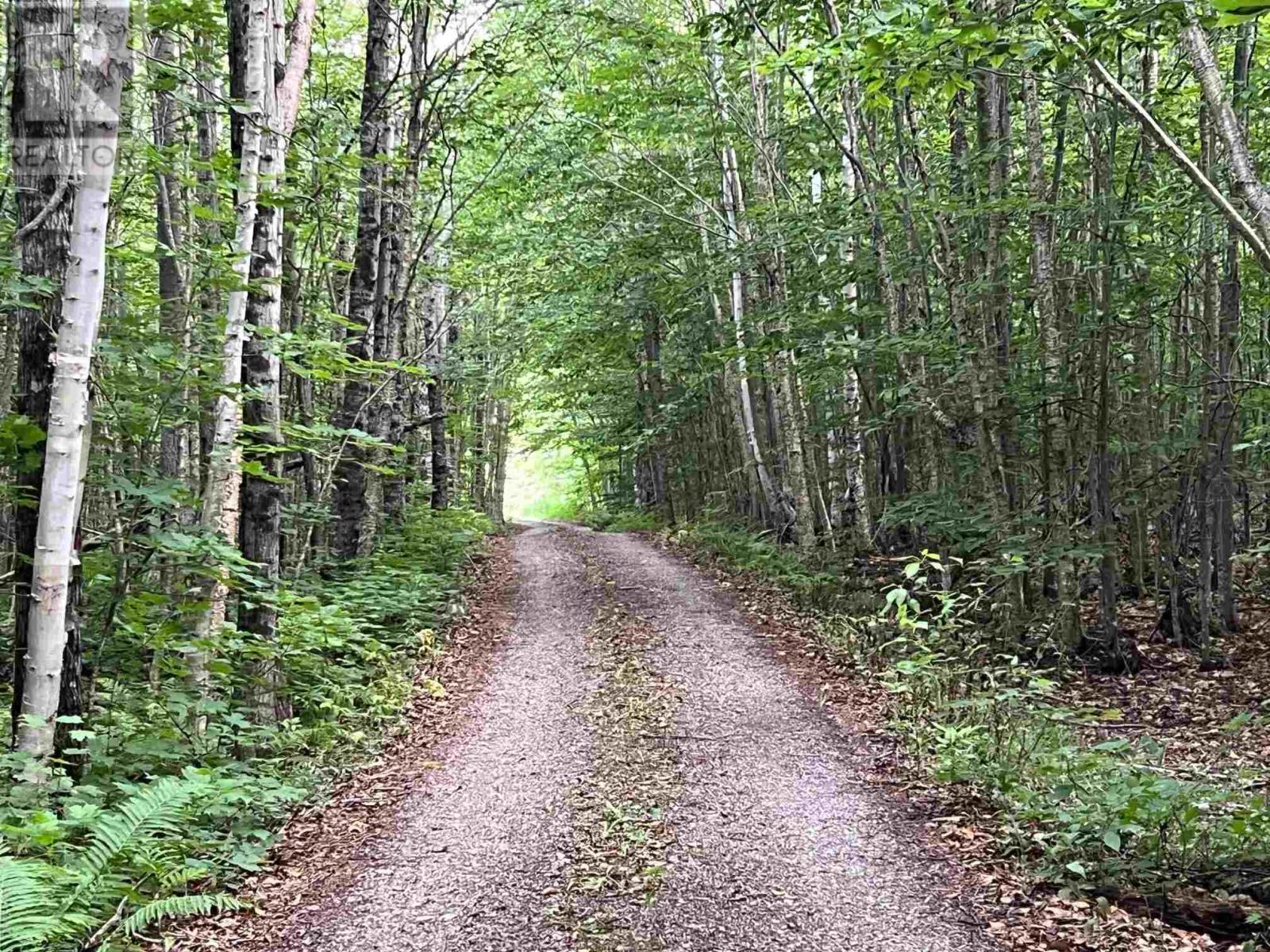 Lot 15 Gordon RD, St. Joseph Island — photo 4