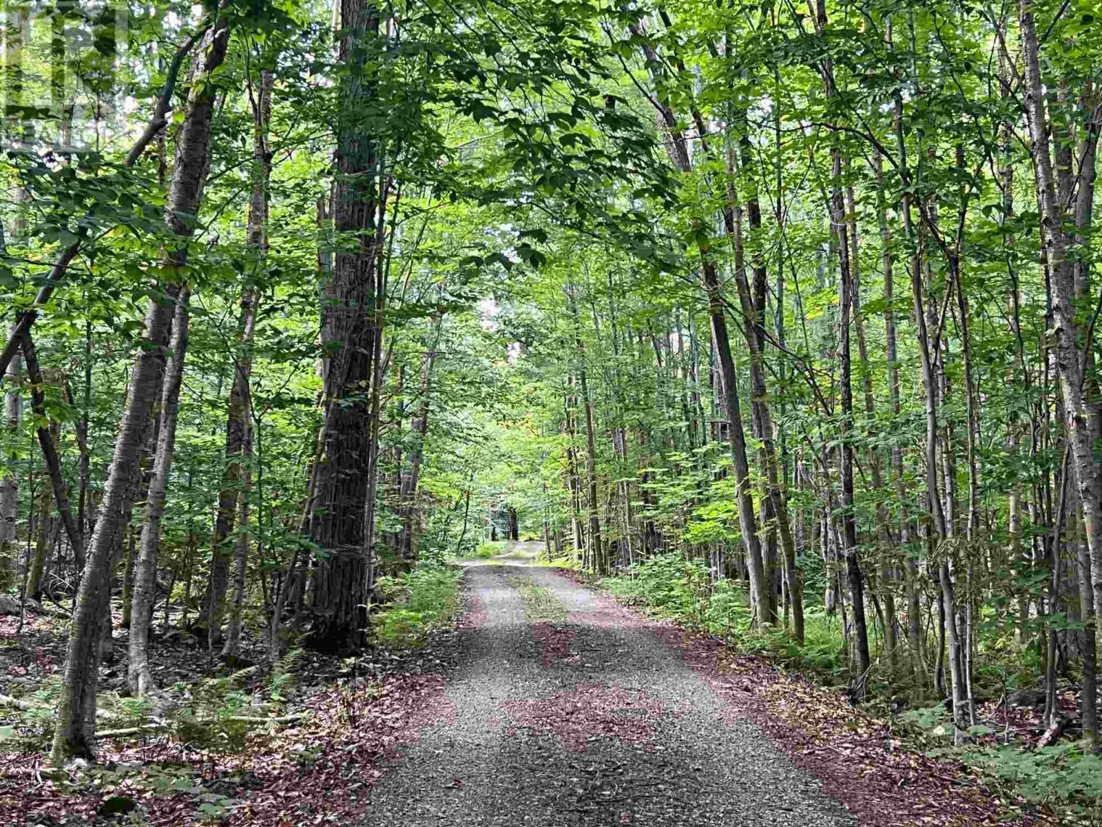 Lot 15 Gordon RD, St. Joseph Island — photo 8