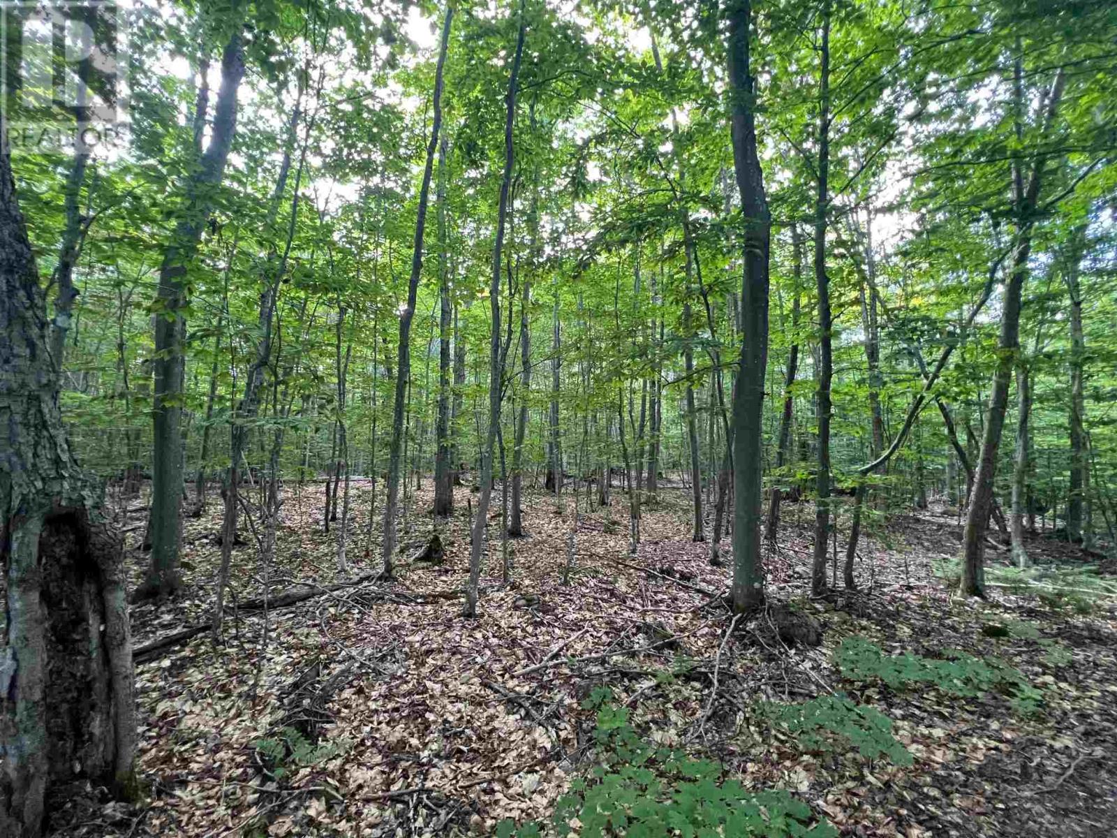 Lot 15 Gordon RD, St. Joseph Island — photo 7