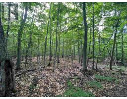 Lot 15 Gordon Rd, St  Joseph Island, ON P0R1G0 Photo 7