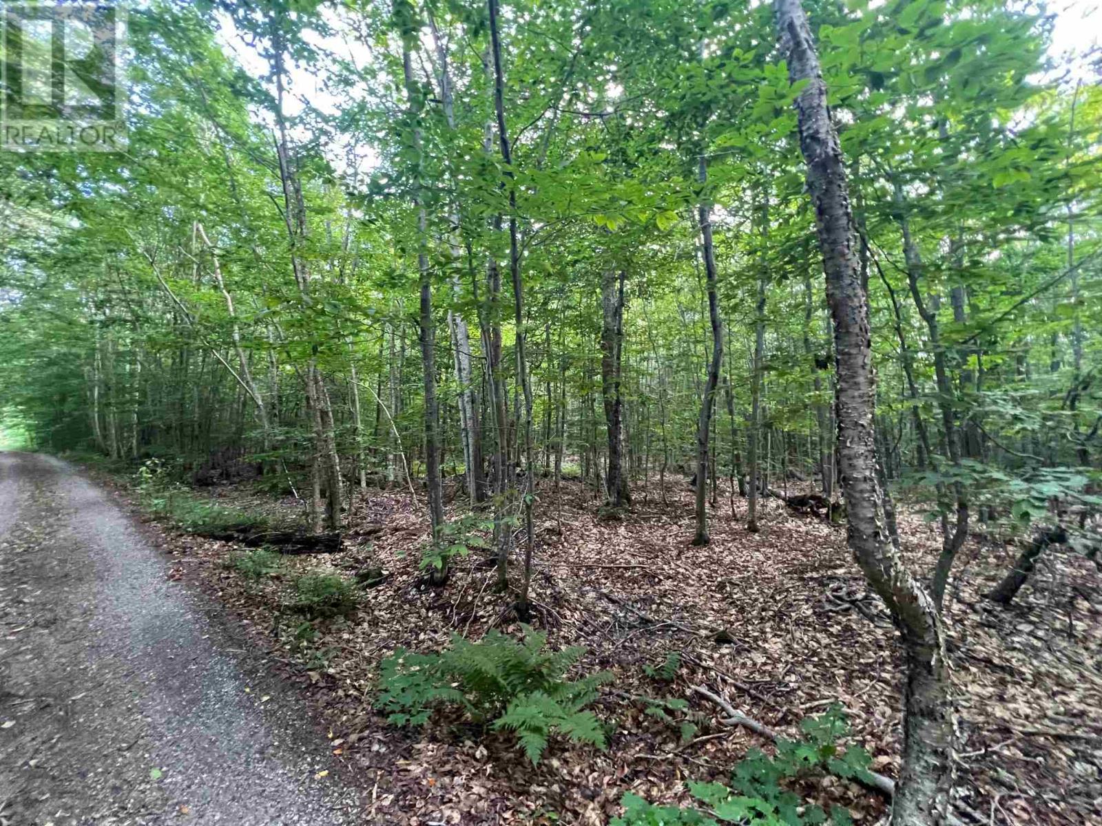 Lot 15 Gordon RD, St. Joseph Island — photo 5