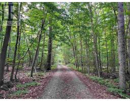 Lot 15 Gordon Rd, St  Joseph Island, ON P0R1G0 Photo 9